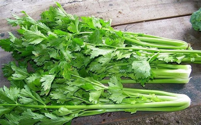 Rau ngò (cần tây): Loại rau này thường được sử dụng để trang trí lên các đĩa thức ăn. Không những vậy, một loạt công thức nấu ăn còn sử dụng rau này như thành phần chính. Đây là thực phẩm cung cấp cho cơ thể rất nhiều lợi ích sức khỏe, giúp làm lành vết thương, giữ xương rắn chắc, ngăn ngừa thiếu máu, chữa rối loạn dạ dày...