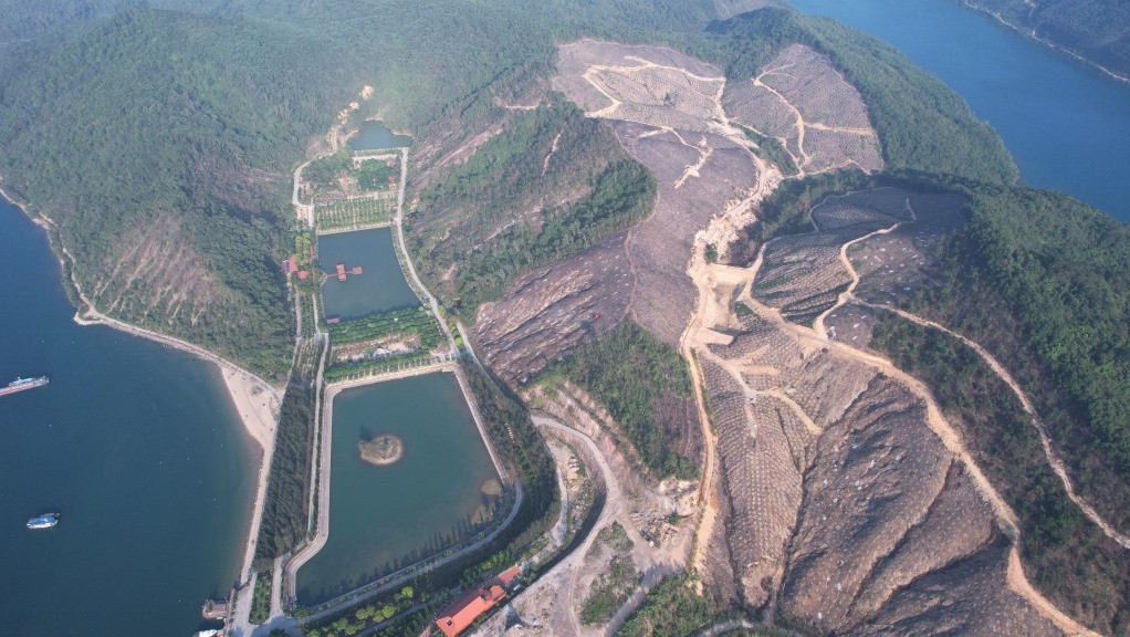 Quang Ninh: Chu tich UBND huyen Van Don bi Thanh tra trach nhiem-Hinh-2