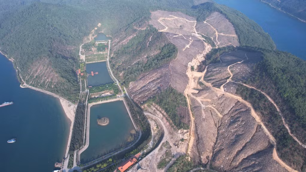 Quang Ninh: Chu tich UBND huyen Van Don bi Thanh tra trach nhiem-Hinh-2