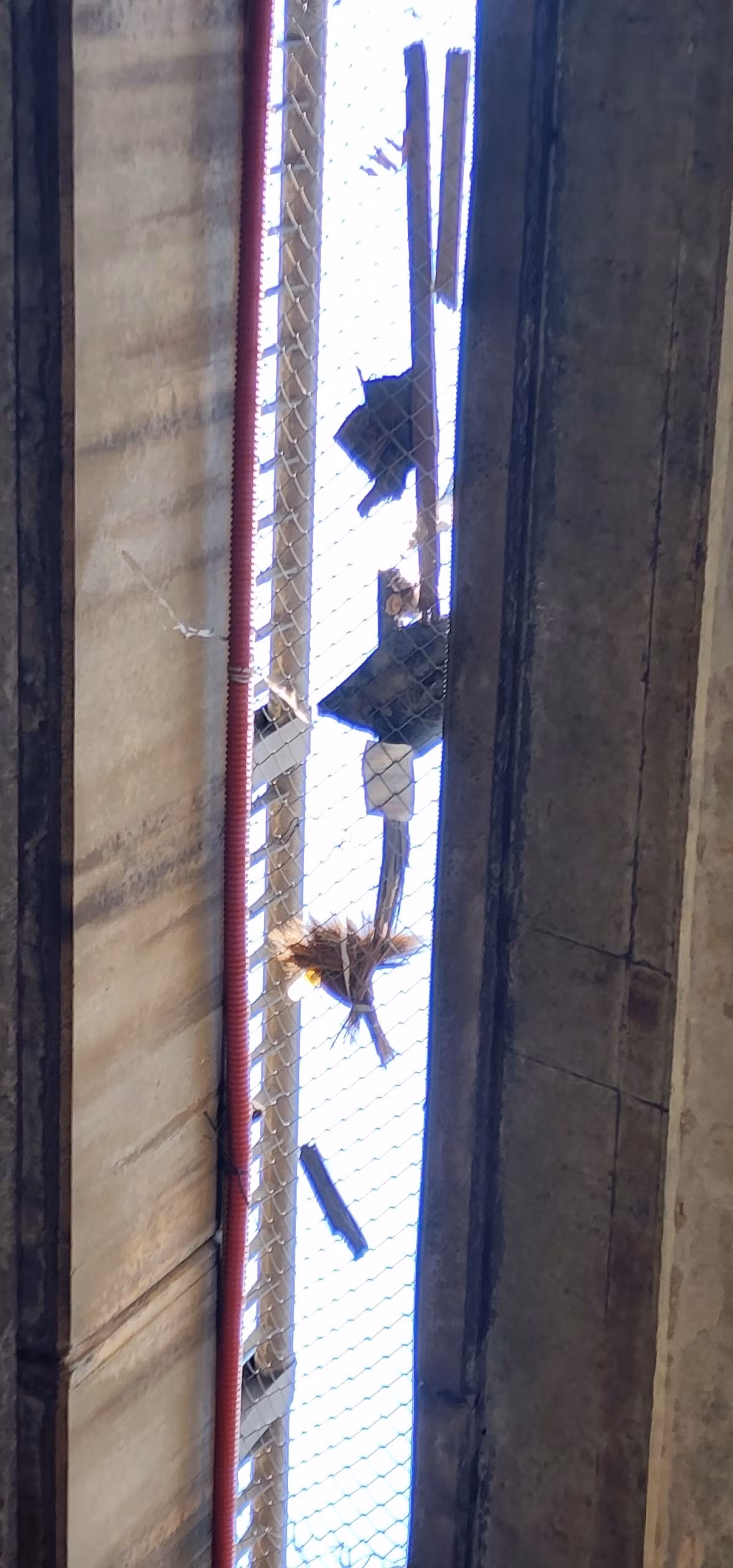 Tuy nhiên, dự án chưa thực sự đạt được hiệu quả như mong đợi khi thời gian vừa qua có nhiều phản ánh về việc cầu luôn vắng phương tiện qua lại và biến thành bãi để xe tự phát.