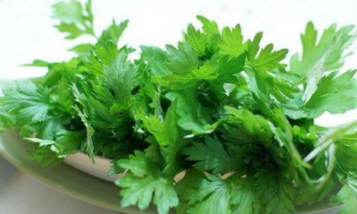 Chua bong gan bang cay la trong vuon-Hinh-2