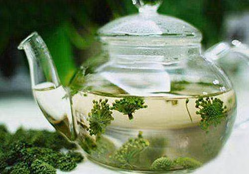 Mùa Thu đến vạn vật tiêu điều, cảnh sắc này khiến tâm trạng của con người dễ ảnh hưởng mà cảm thấy buồn rầu, u uất. Để cải thiện tình trạng này hàng ngày bạn có thể uống trà tam thất.Ảnh: eastlady.