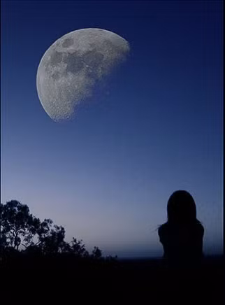 Hoa da no, trang lai vua tron anh co con nho loi nguyen uoc-Hinh-2