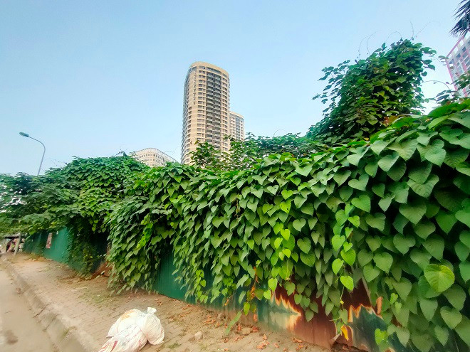 Theo ghi nhận, khu đất xây dựng dự án hiện cây leo, cỏ dại mọc um tùm, chưa có dấu hiệu triển khai xây dựng. 