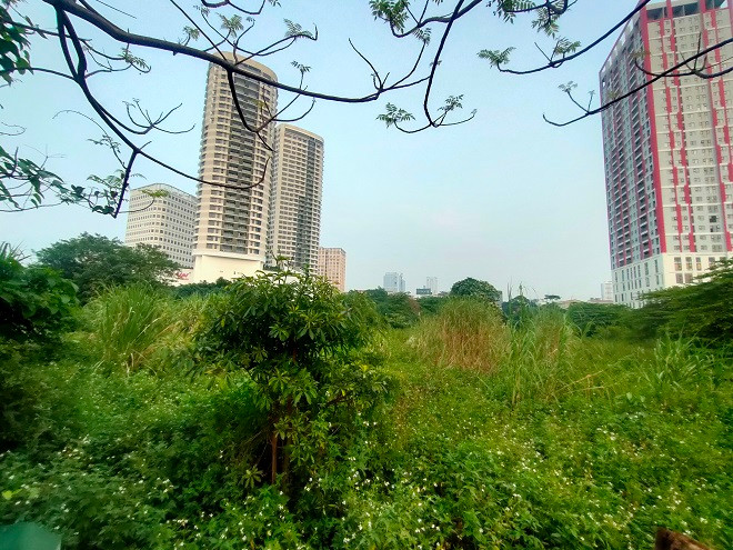 Dự án bị quây tôn nhiều năm qua, cây cỏ dại mọc cao quá đầu người. 