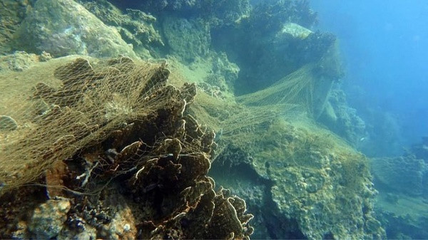 Tạm dừng du lịch lặn biển tại một số khu vực vịnh Nha Trang Tam dung du lich lan bien tai mot so khu vuc vinh Nha Trang