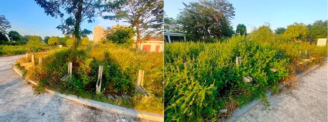 Hàng loạt ghế đá trong công viên bị gãy đổ, trơ trọi những thanh sắt hoen gỉ nhưng chưa được thay thế. 