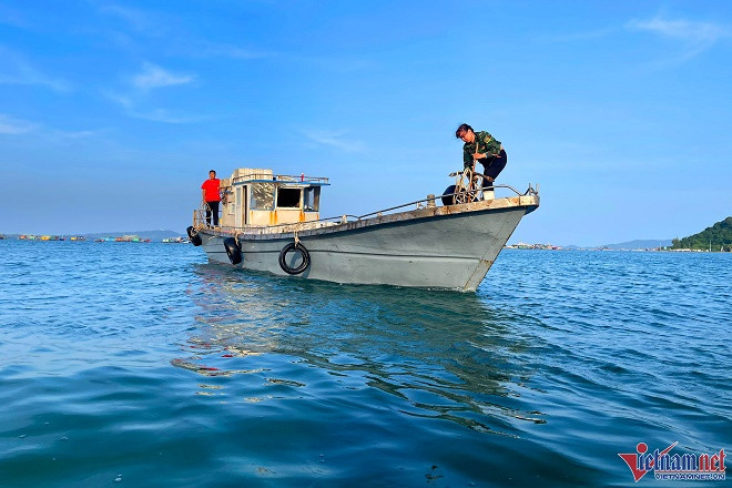 Mùa cá cơm trên đảo Thanh Lân, mỗi ngày thu hàng chục triệu đồng Mua ca com tren dao Thanh Lan, moi ngay thu hang chuc trieu dong