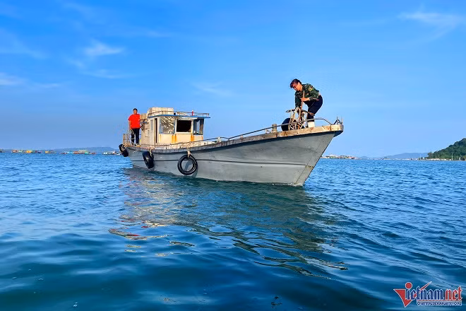 Mua ca com tren dao Thanh Lan, moi ngay thu hang chuc trieu dong