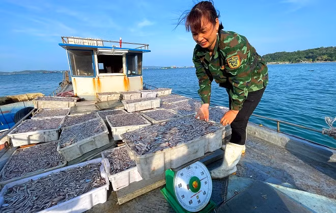 Mua ca com tren dao Thanh Lan, moi ngay thu hang chuc trieu dong-Hinh-4