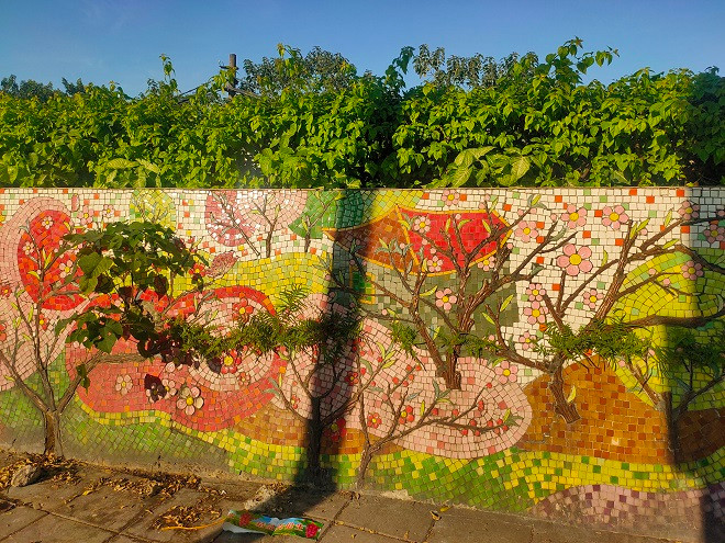 Cỏ mọc um tùm ngay trên các điểm bị hư hỏng, đứt gãy.