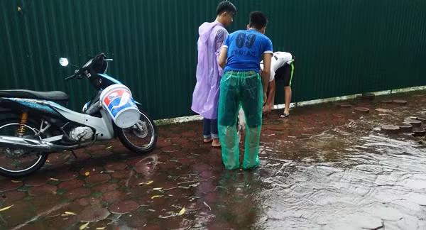 Nhóm thanh niên cùng nhau bắt cá một cách vui nhộn.