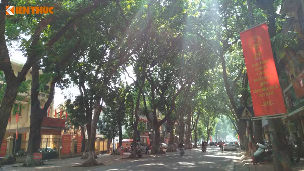 Băng rôn trang trí họa tiết hoa sen cùng với hình ảnh Quốc huy Việt Nam trên phố Phan Đình Phùng.