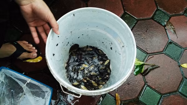 Một nam thanh niên khoe chiến lợi phẩm vừa kiếm được.