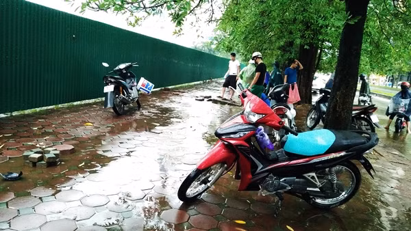 Khoảng 12h ngày 22/8, tại đường Mễ Trì (quận Nam Từ Liêm, Hà Nội) xuất hiện nhiều nam thanh niên xách theo xô lớn, túi nilon... cùng nhau reo hò, nhộn nhịp bắt cá trên vỉa hè dưới mưa khiến nhiều người đi đường bất ngờ.