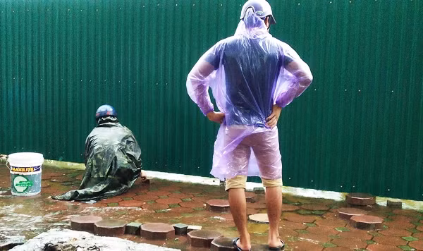 Theo chia sẻ của những người này, cá ở đây rất sạch, chủ yếu là cá rô phi, cá diếc nhỏ. Nếu mưa lớn là cá theo nước chảy từ phía trong bơi ra vỉa hè rất nhiều.