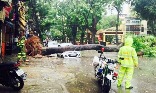 Ha Noi thiet hai nang ne boi bao so 1 do du bao sai-Hinh-3