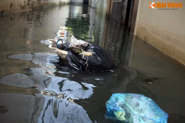 Được biết, do nước thải ứ đọng lâu nên nhiều hộ gia đình cùng một số công ty có địa chỉ tại đây đang phải đóng cửa, sơ tán đi nơi khác để lánh nạn.