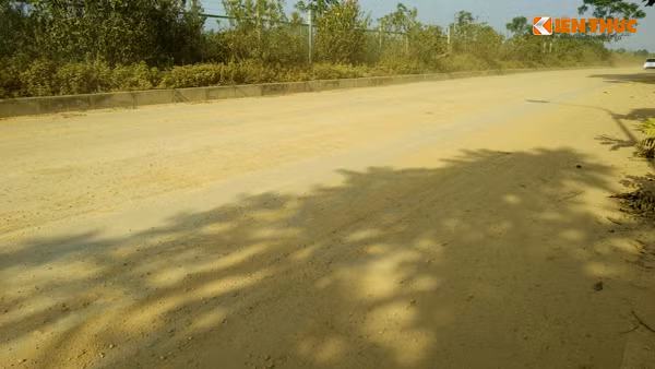 Hình ảnh phản cảm, mất mỹ quan.