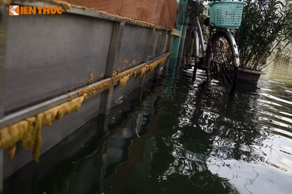 Một số hộ dân ở ngách 124/45 phải sử dụng các tấm ván gỗ, miếng sắt lớn bịt kín cửa ra vào để ngăn phần nào nước bẩn tấn công vào nhà, vào bể nước sinh hoạt.