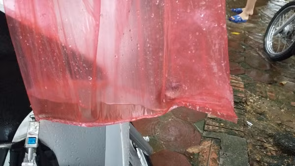 Do người tập trung bắt cá rất đông nên một số nam thanh niên chỉ bắt được vài con cá rô phi nhỏ, bỏ túi mang về.