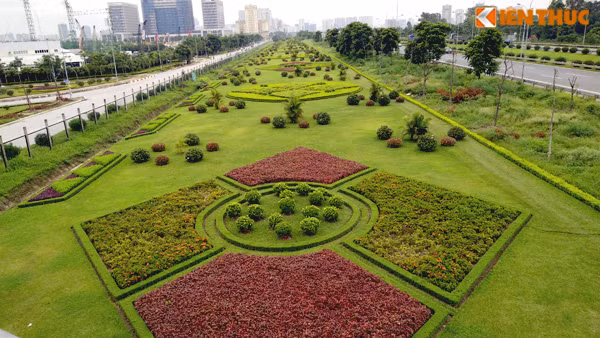 Cây, hoa được cắt tỉa theo các hình thù đặc biệt và rất bắt mắt.