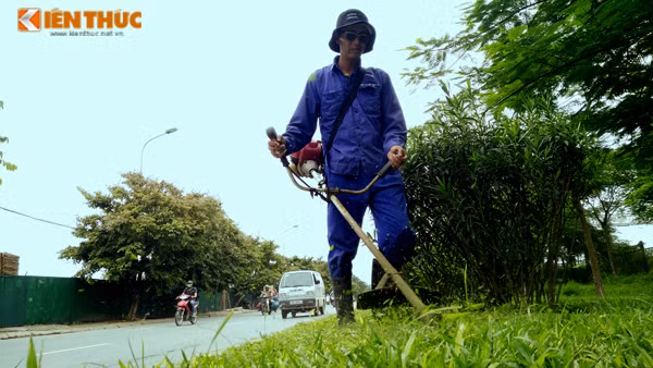 Tuy nhiên, theo ghi nhận của PV Kiến Thức, sáng 16/8, trên Đại lộ Thăng Long vẫn có nhiều công nhân tập trung làm việc, họ vẫn cắt cỏ, tỉa cây trên đường một cách bình thường.