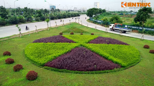 Các loại cây, hoa trồng xen kẽ nhau được cắt tỉa gọn gàng trên Đại lộ Thăng Long.