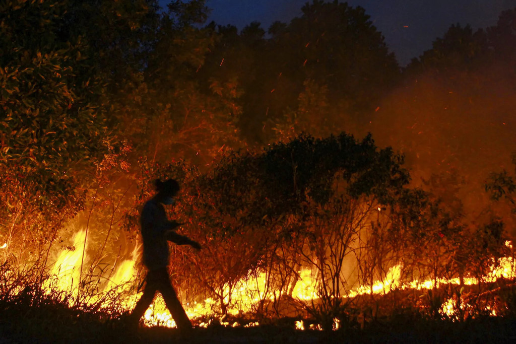 Chay rung dien rong o Indonesia, Malaysia va Singapore 