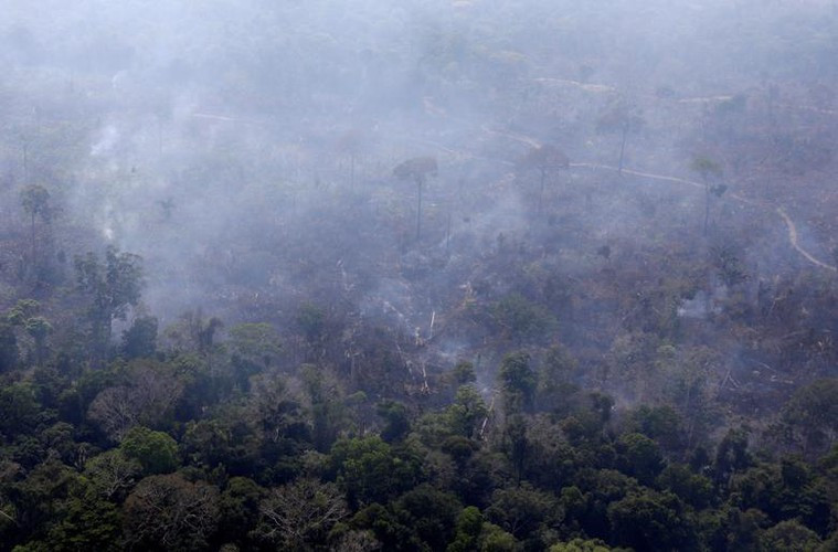 Số lượng các vụ cháy rừng gia tăng tại Brazil là do nạn chặt phá rừng phi pháp để lấy đất canh tác và đám cháy lan rộng vào mùa khô.