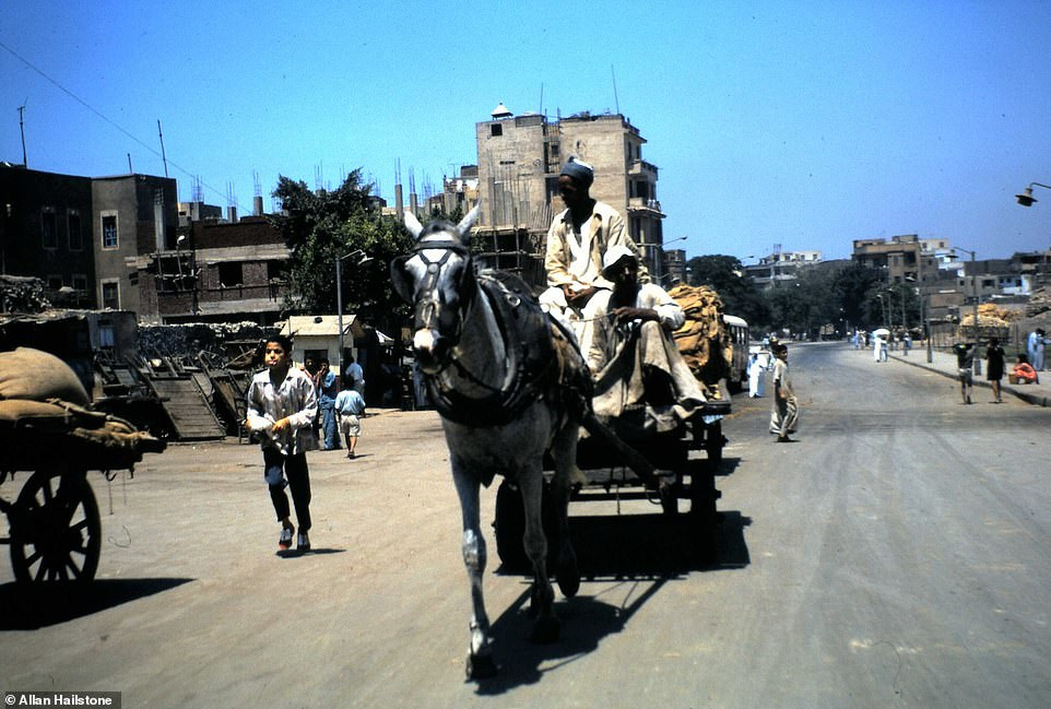 Xe ngựa dường như là một phương tiện vận chuyển phổ biến ở Cairo hàng chục năm về trước.