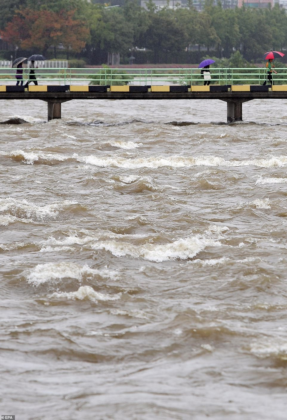 Mưa lớn khiến mực nước của một con sông ở Daegu dâng cao. Ảnh: EPA.