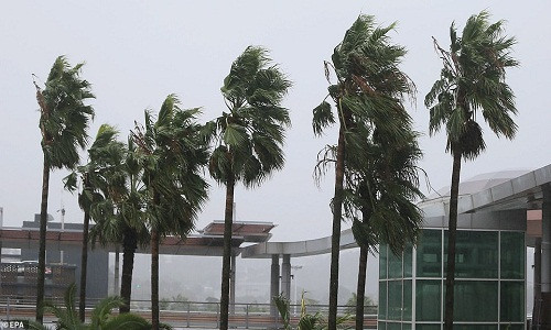 Ngoài ra, hàng trăm chuyến bay cũng đã bị hủy do ảnh hưởng của bão. Ảnh: EPA.