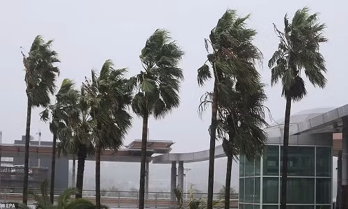 Ngoài ra, hàng trăm chuyến bay cũng đã bị hủy do ảnh hưởng của bão. Ảnh: EPA.