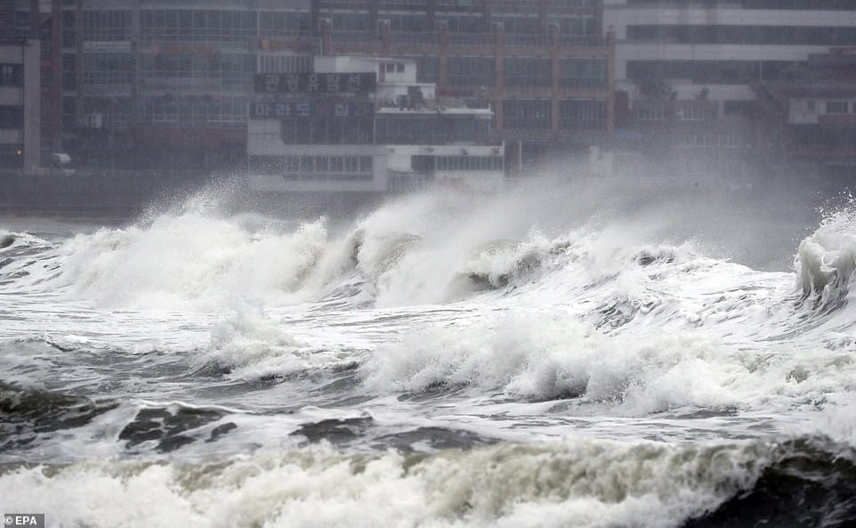 Ngoài việc ảnh hưởng tới một số khu vực của Nhật Bản, ngày 22/9, bão Tapah cũng càn quét qua một số khu vực miền Nam Hàn Quốc, khiến ít nhất 1 người thiệt mạng do ngôi nhà hai tầng bị sập và nhiều người khác bị thương. Ảnh: EPA.