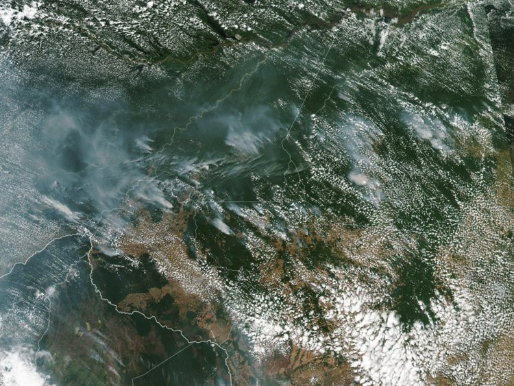 Trước tình hình cấp bách hiện nay, Tổng thống Brazil Jair Bolsonaro đã điều binh sĩ tới các khu vực rừng mưa nhiệt đới Amazon, đồng thời tuyên bố chấp nhận viện trợ của quốc tế để chống cháy rừng. 