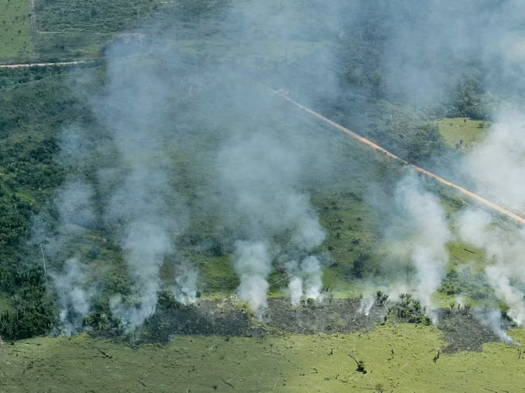 Loạt hình do Business Insider đăng tải phần nào cho thấy khu rừng Amazon tại Brazil đã bị tàn phá hàng chục năm qua. Ảnh: Khói bốc lên từ khu rừng vào năm 1973. 