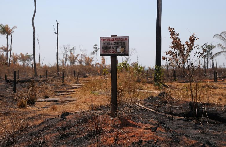 Tấm biển có dòng chữ với nội dung "Tài sản riêng, chỉ cho phép người dân, cấm đánh cá và săn bắn" được đặt tại vùng đất bị phân chia của bộ lạc Manoki ở ngoại ô Brasnorte, bang Mato Grosso, Brazil, ngày 28/9/2019.