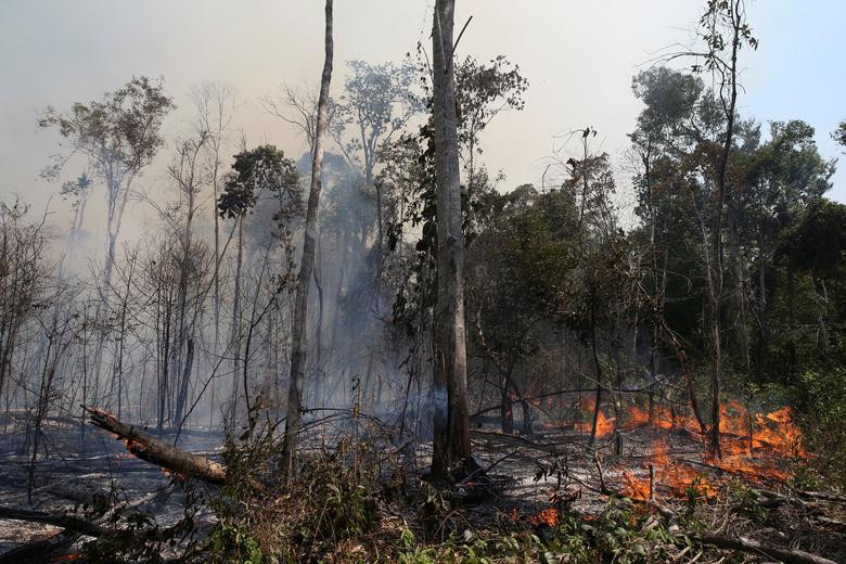 Đám cháy trong khu rừng Amazon ở Unlao do Sul, Mato Grosso, ngày 4/9.