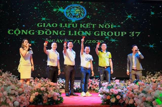 Đại tá Hồ Bá Võ - nguyên điều tra viên cao cấp Cơ quan cảnh sát điều tra Công an tỉnh Nghệ An trả lời trên Báo Vietnamnet, đây là một hình thức lừa đảo không hề mới, được tổ chức chặt chẽ theo từng "xâu" mà người tham gia sẽ được gọi là "nhà đầu tư". Mỗi nhà đầu tư sẽ được cấp 1 tài khoản để đóng tiền vào. Lion Group không kinh doanh gì để tạo ra sản phẩm mà chỉ dùng chiêu trò lấy tiền người đầu tư sau trả lãi suất cao cho người đầu tư trước.