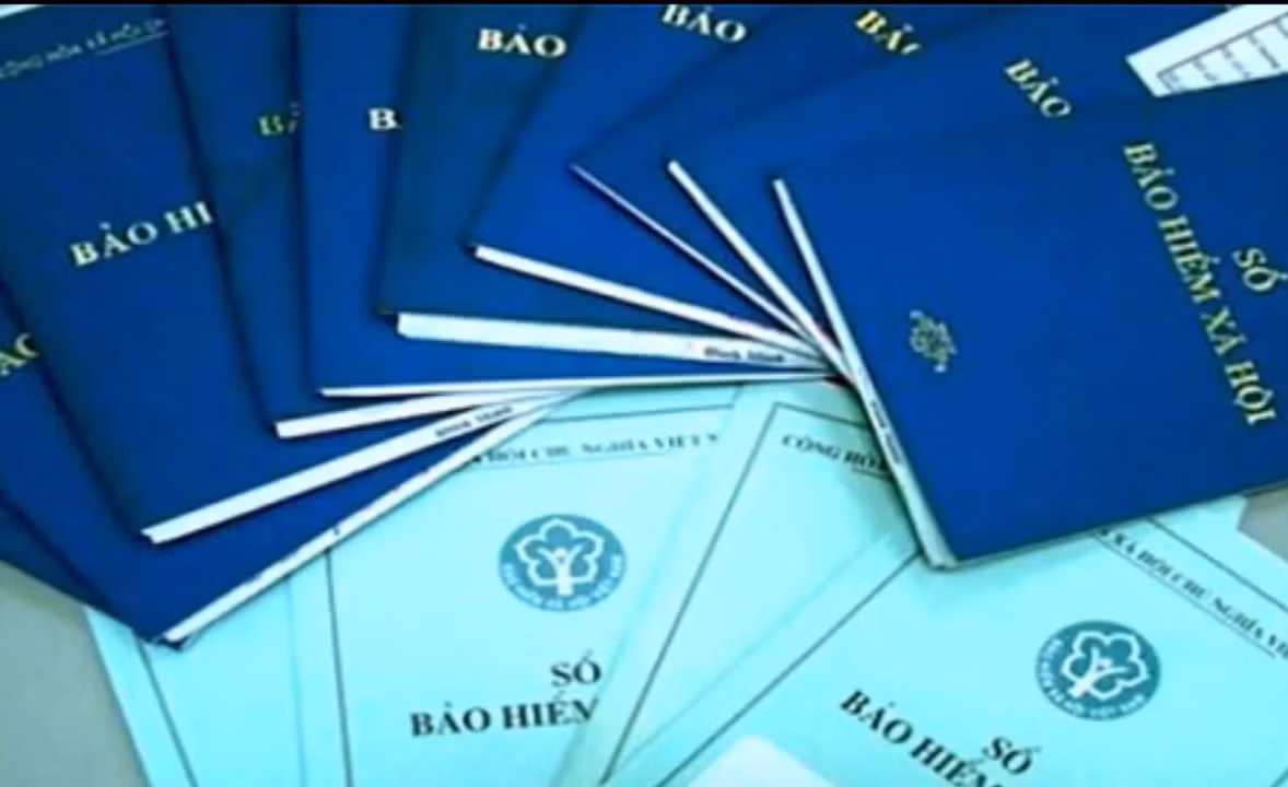 Bảo hiểm (chỉ thực hiện các hoạt động liên quan công tác giám định, lập hồ sơ bồi thường và giải quyết quyền lợi bảo hiểm cho khách hàng). (Ảnh minh họa)