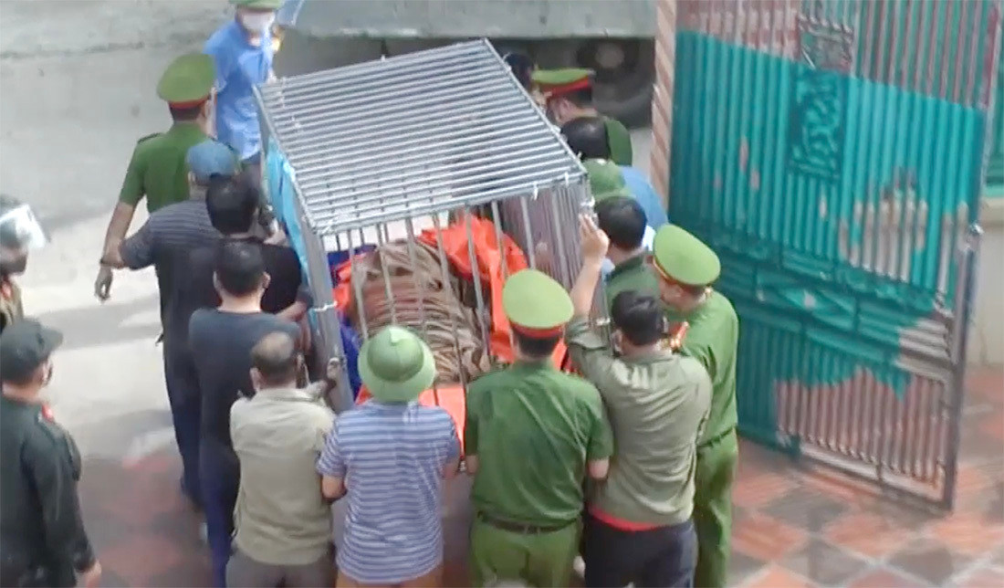 Ông Phan Văn Tuyên, Chủ tịch UBND huyện Yên Thành (Nghệ An) cho biết, liên quan đến vụ nuôi nhốt hổ trái phép, cơ quan chức năng xác định một hộ nuôi có người nhà làm Công an viên bán chuyên trách của xóm.