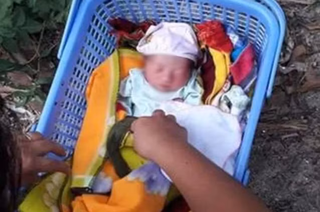  Bé gái sơ sinh bị bỏ rơi bên gốc xoài kèm: Trong lúc đi tập thể dục, ông Lê Văn Vinh và bà Nguyễn Thị Liễu (trú phường Đức Thuận, thị xã Hồng Lĩnh, Hà Tĩnh) phát hiện một cháu bé sơ sinh bị bỏ rơi bên gốc cây xoài trước sân nhà. Ngày 16/8, UBND phường Đức Thuận đã phát đi thông báo tìm người thân của cháu bé. 