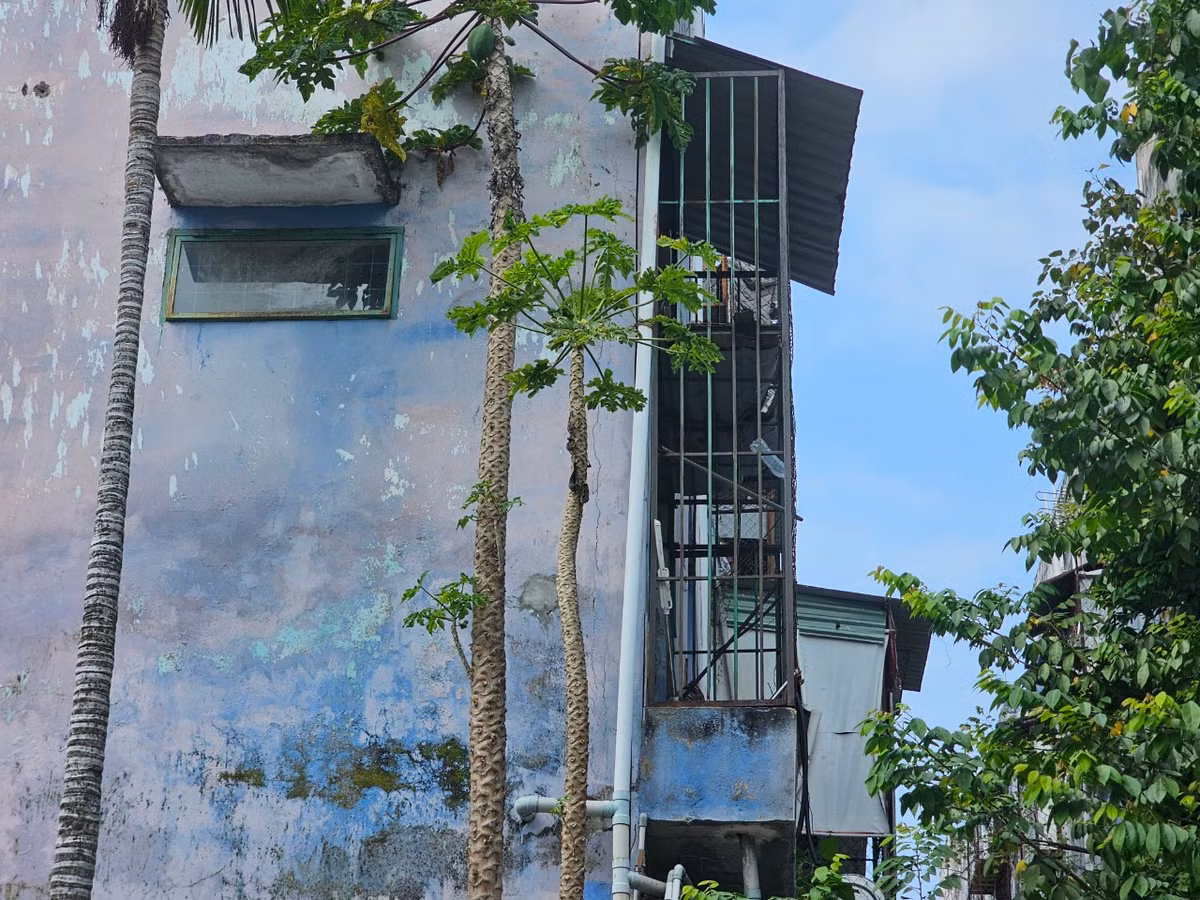 Còn ở phương án 2, người dân có thể mua nhà ở xã hội tại các dự án: Nhà ở xã hội tại Khu dân cư An Hòa - Sun Home, Chung cư nhà ở xã hội tại lô đất B4-2 thuộc Khu đô thị xanh Bàu Tràm Lakeside, Nhà ở xã hội tại khu đất số 10 Trịnh Công Sơn, Nhà ở xã hội tại khu đất hiện trạng Khu chung cư Hòa Minh.