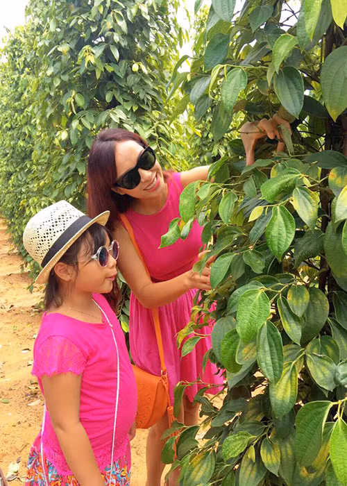 Nhóc tì của "Bố ơi! Mình đi đâu thế?" thích thú thăm vườn tiêu ở Phú Quốc cùng mẹ. (Ảnh: cựu người mẫu Thúy Hạnh)