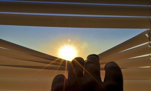 Để nhà luôn mát mẻ mà không cần tới điều hòa quá dễ.