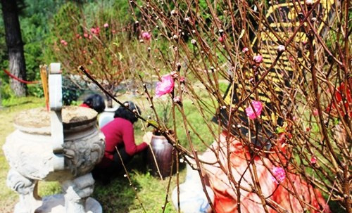 Khu mo Dai tuong Vo Nguyen Giap duoc giao cho gia dinh quan ly