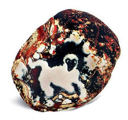 Đá "Vượn tuyết". Hòn đá quý này từ loại đá vũ hoa ở Nam Kinh, có bố cục hợp lý và đồng đều, đặc biệt giữa màu đen và trắng được thể hiện rõ nét. Mặc dù bề mặt có vết nứt nhưng về cơ bản đây là một tác phẩm tự nhiên vô cùng hiếm có.