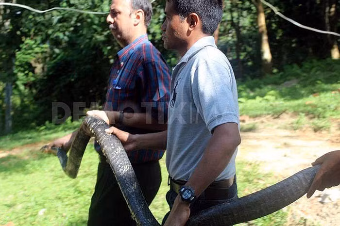 Giai ma bi an vung dat cua bay ho mang chua khong lo-Hinh-2