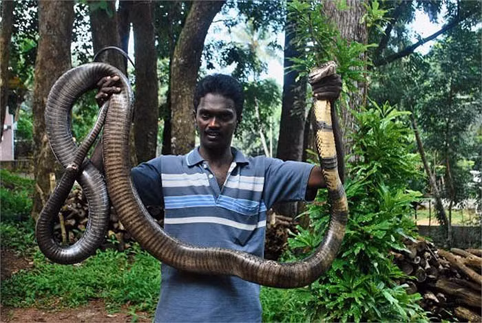 Giai ma bi an vung dat cua bay ho mang chua khong lo